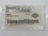 Pack of 10 Harley Davidson Genuine NOS Socket Head Cap Screws 1004M