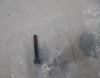 Harley Davidson Genuine NOS Cap Torx Screw 2918