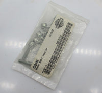 Pack of 10 Harley Davidson Genuine NOS Socket Head Cap Screws 1004M