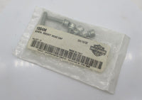 Pack of 10 Harley Davidson Genuine NOS Socket Head Cap Screws 1004M