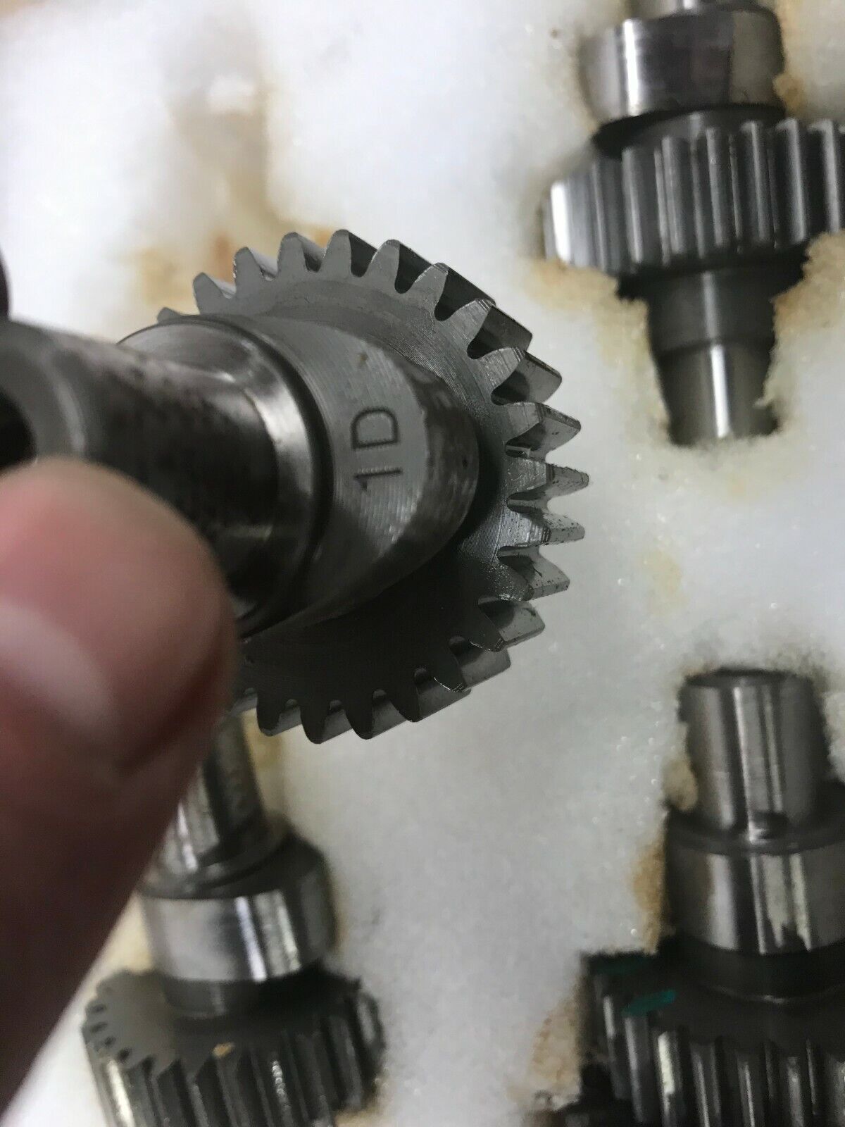 HARLEY-DAVIDSON GENUINE STOCK SPORTSTER 1D 2D 3D 4D CAM SHAFT GEAR SET