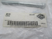 Harley Davidson Genuine NOS OEM Screw 4519