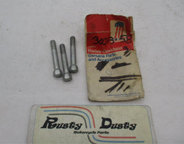 Lot of 3 Harley Davidson Genuine NOS Servi-Car Mounting Screws 30013-58