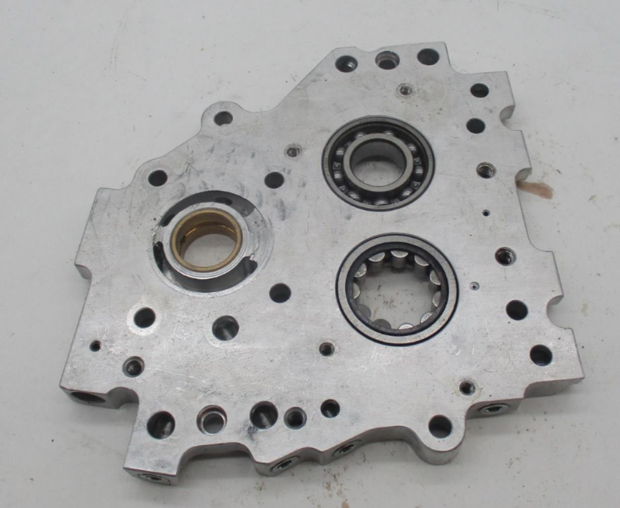 Harley Davidson 99-06 Twin Cam Genuine Screamin Eagle Cam Plate Kit Silver