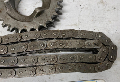 Harley Davidson Big Twin 25T Tooth Compensator Drive Sprocket & Chain