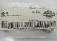 Pack of 10 Harley Davidson Genuine NOS Socket Head Cap Screws 1004M