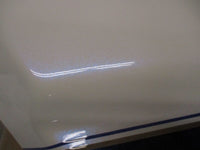 Harley Davidson Genuine NOS Touring Side Cover 66250-09 DBW Pearl White Blue