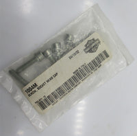 Pack of 10 Harley Davidson Genuine NOS Socket Head Cap Screws 1004M