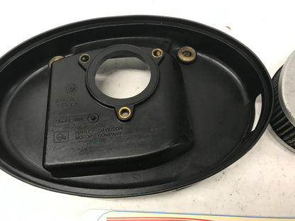 Harley Davidson Air Cleaner Backing Plate & Filter 29630-08A